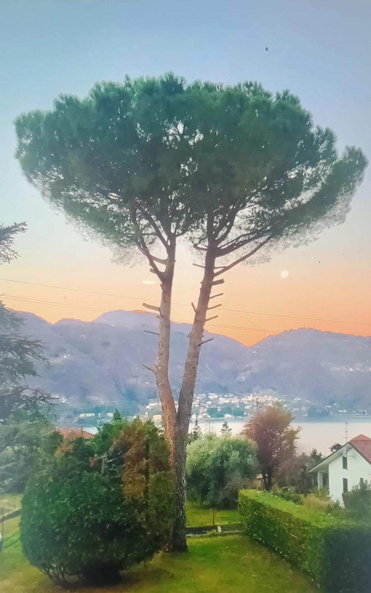 Villa Rosi Lierna Luaran gambar